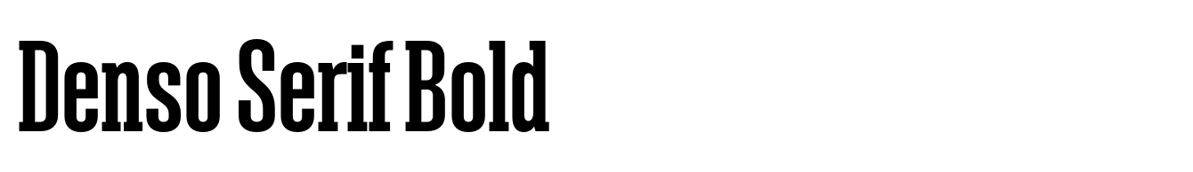 Denso Serif Bold